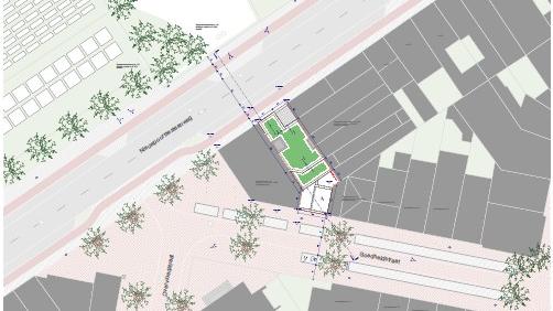 Inplantingsplan zeevlam